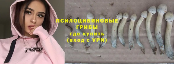 ГАЛЛЮЦИНОГЕННЫЕ ГРИБЫ Алексин