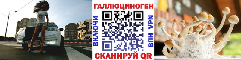 купить наркотик  Керчь  blacksprut ONION  Псилоцибиновые грибы мицелий 